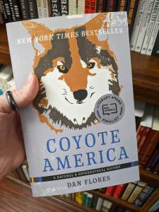 Coyote America