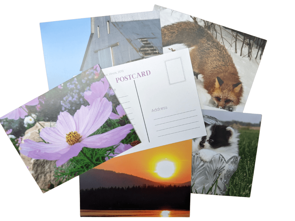 Group of postcards piled together. A postcard in the middle is face-down, showing "POSTCARD" and "ADDRESS." The other postcards show a fox, a kitten, a sunset, a flower, and a barn, respectively.