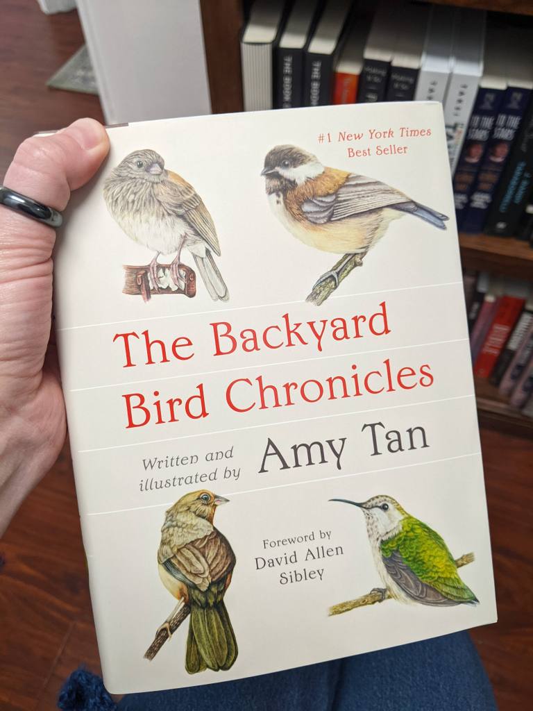 The Backyard Bird Chronicles