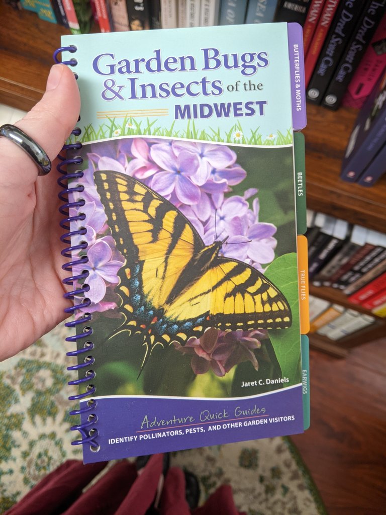 Garden Bugs & Insects of the Midwest