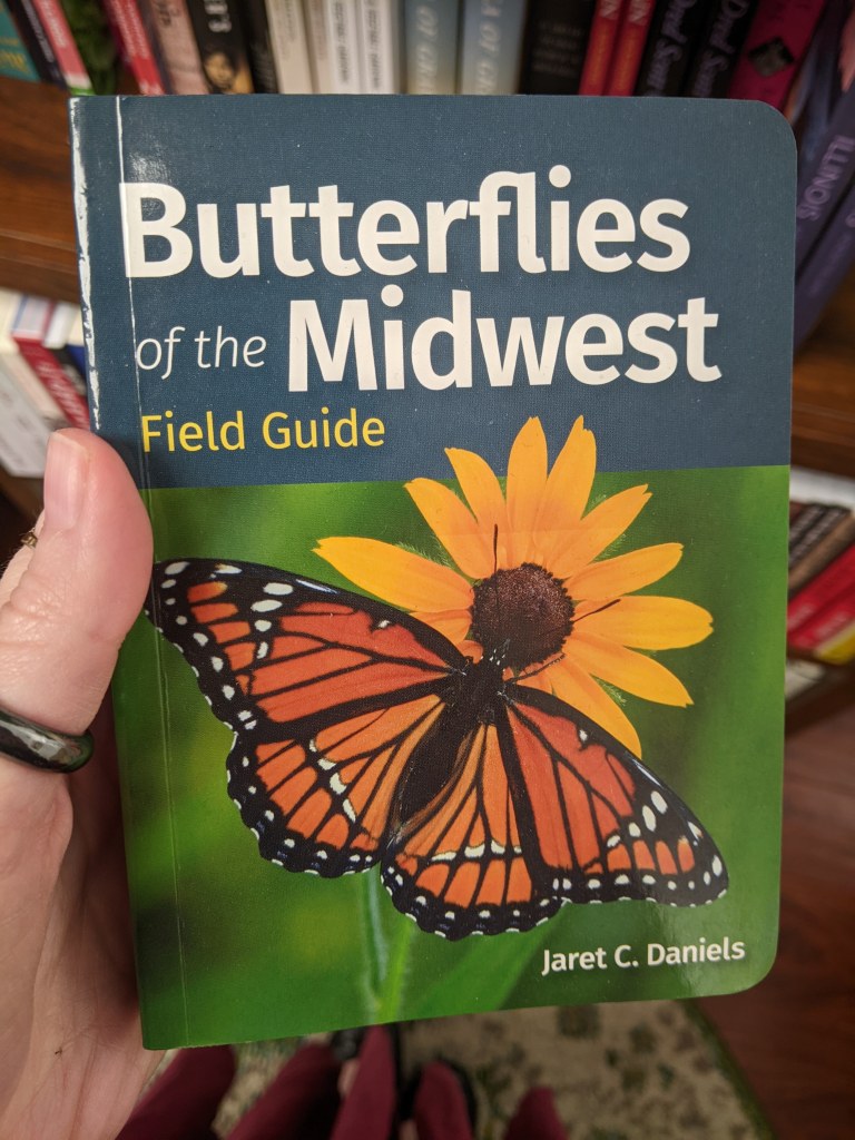 Butterflies of the Midwest