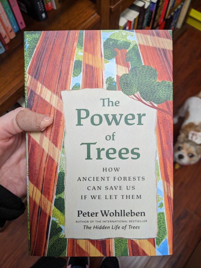 The Power of Trees