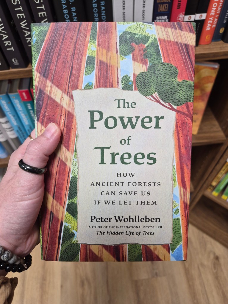 The Power of Trees