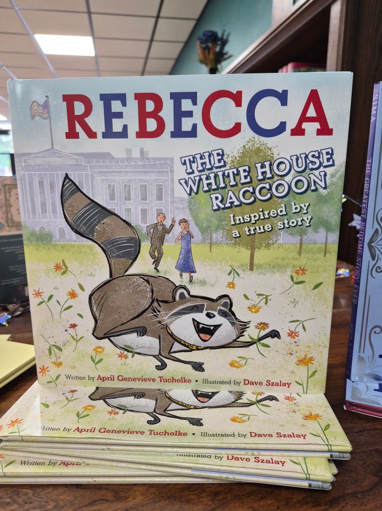 Rebecca The White House Raccoon